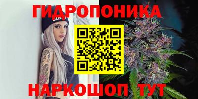 шишки Донецк