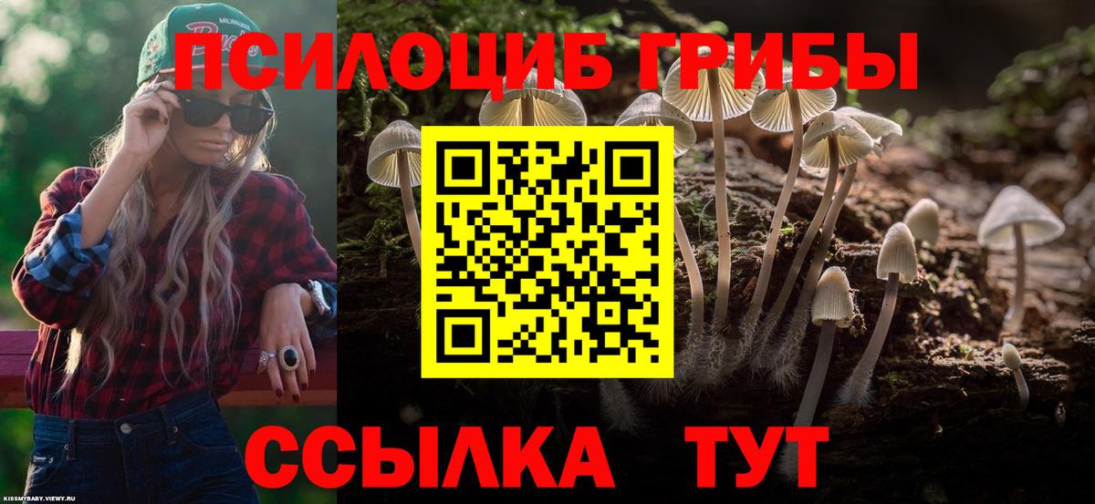 Галлюциногенные грибы Magic Shrooms  Вход с VPN  Королёв 